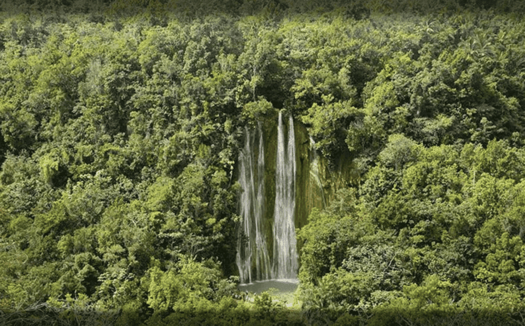 Samana – El Limon Waterfall
