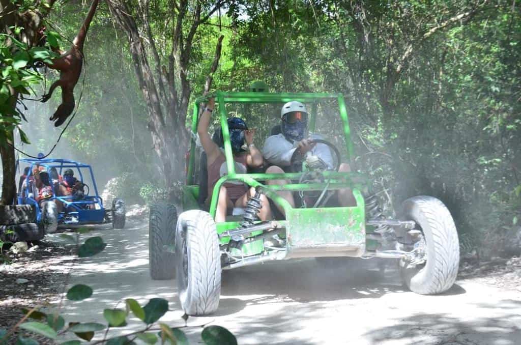 or would you like to have a buggy experience? You'll enjoy it for sure